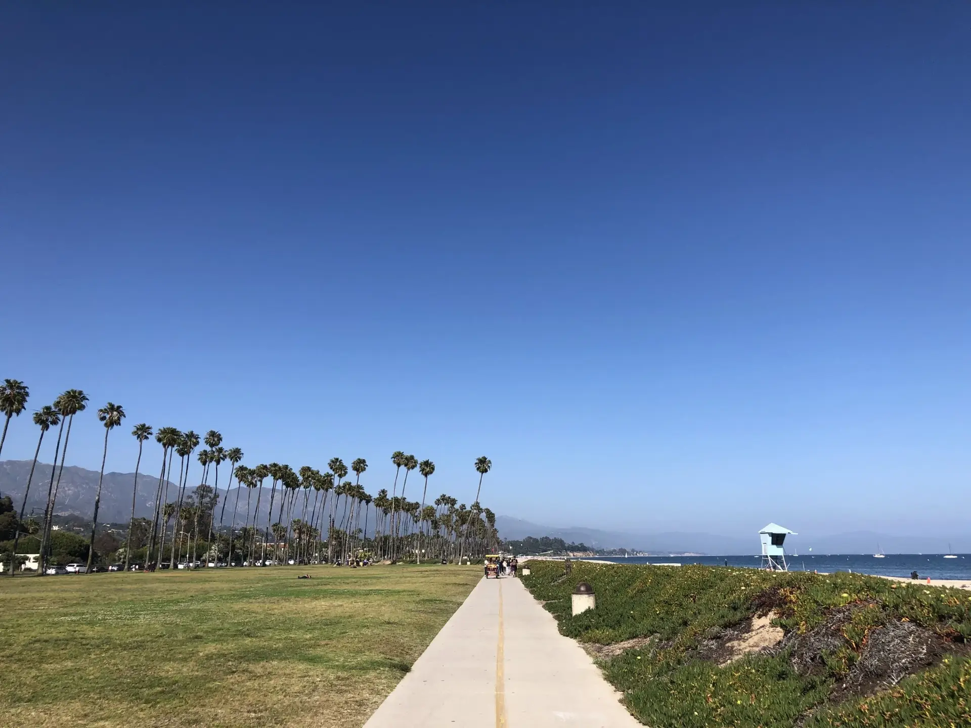 A palm-lined coastal path stretching toward the horizon